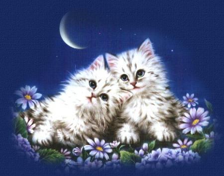 Bonne soir�e... et bon mardi...